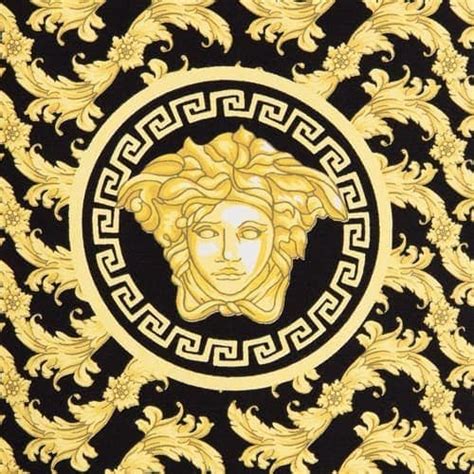 competitors versace home|Top Versace Competitors and Alternatives .